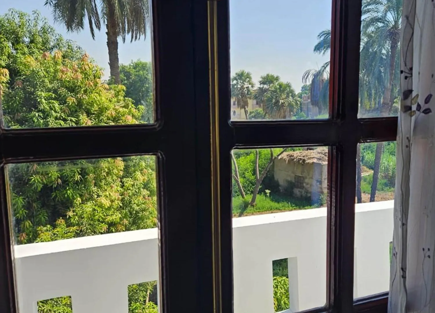 Egypt Villa Garden Luxor