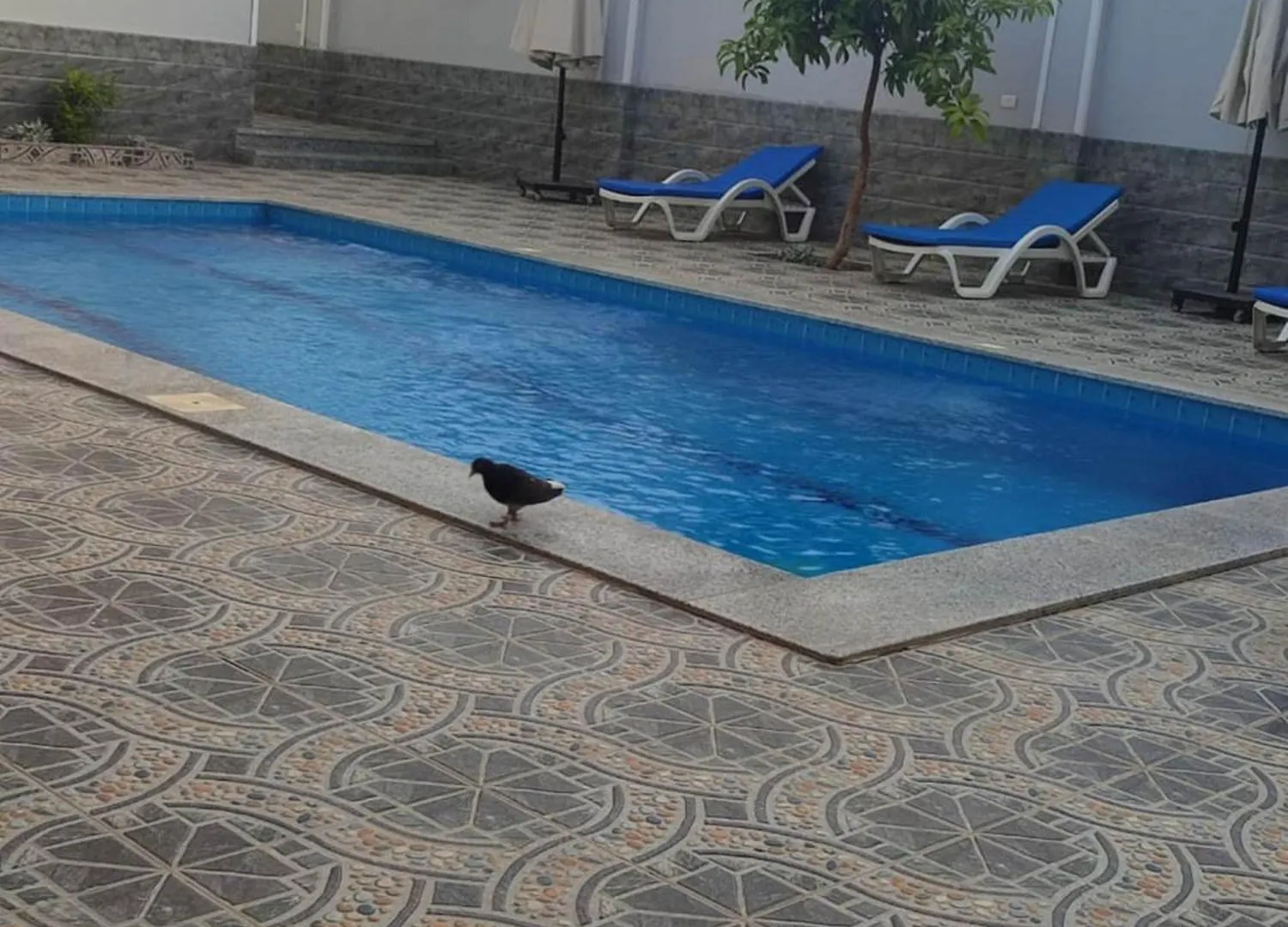 Egypt Villa Garden Λούξορ